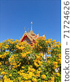 The Thong Aura is a kind of sacred wood in Thailand  71724626