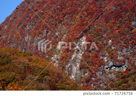 秋天的九重山脈，從赤川小路到小垣攀爬，秋天的落葉 71726756