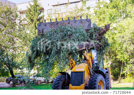 Utility workers removal branches and trunks trees with residential buildings Utility workers removal branches and trunks trees with residential buildings 71728044