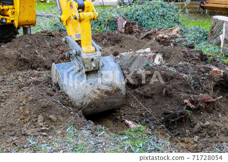 Yard work bulldozer clearing land from old trees, roots and branches with backhoe machinery. Yard work bulldozer clearing land from old trees, roots and branches with backhoe machinery. 71728054