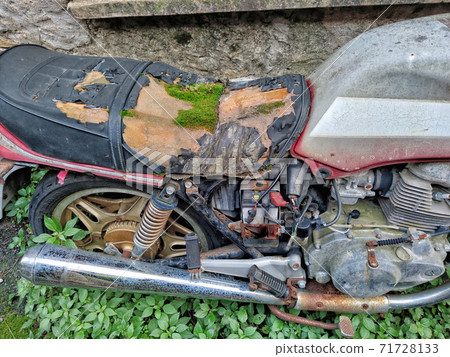 abandoned bike with moss on saddle 71728133