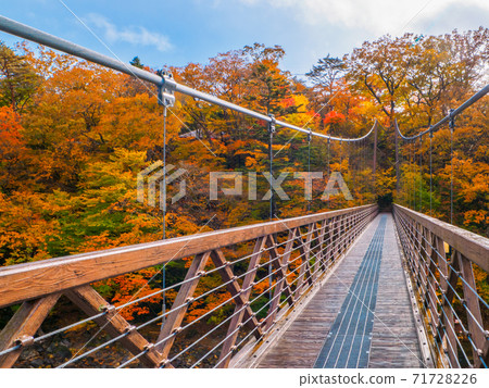 Nanatsuiwa Suspension Bridge in Autumn Leaves (Shiobara Onsen, Tochigi Prefecture) 71728226