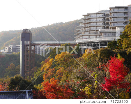 City and autumn leaves 71728390