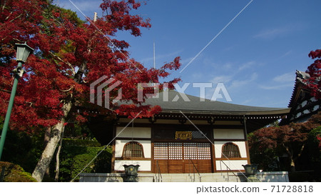 飯野市“野神寺”秋天的落葉 71728818