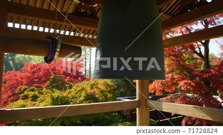 飯野市“野神寺”秋天的落葉 飯野市“野神寺”秋天的落葉 71728824