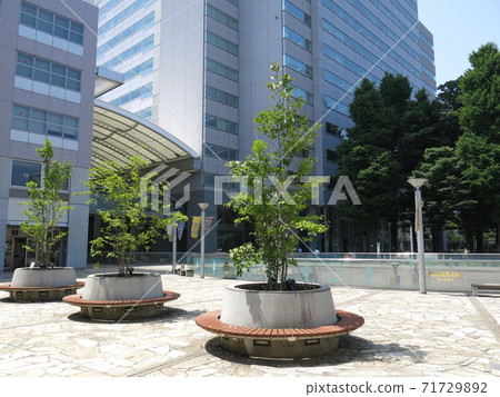 文京區綠色法院（廣場和中心辦公室） 71729892