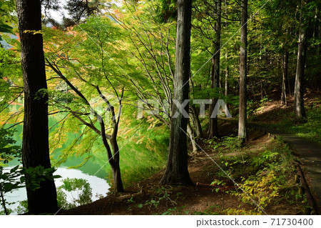 Autumn leaves reflected on the surface of the lake Inagako 71730400