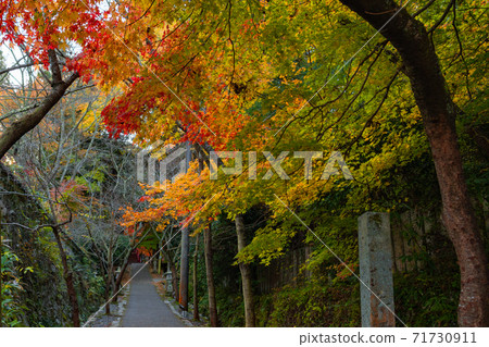 廣島縣色拉市的今高野山秋葉 71730911