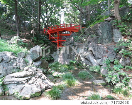 小石川後樂園通天橋 71732668