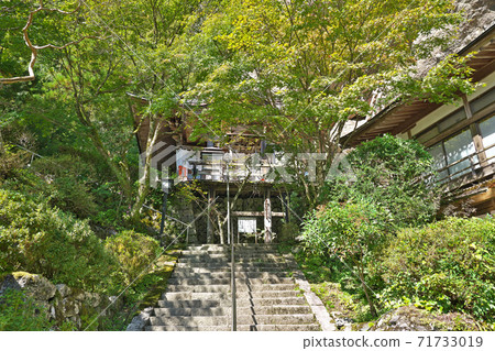 [Kaiganyama Iwayaji Temple] (Shikoku Sacred Site No. 45 Fudasho) Nanatori, Kumakogen-cho, Kamiukiana-gun, Ehime Prefecture 71733019