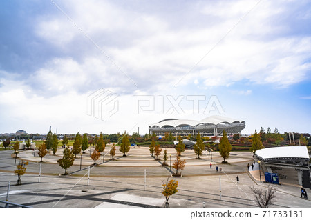 Big Swan Stadium seen from Eco Stadium Big Swan Stadium seen from Eco Stadium 71733131