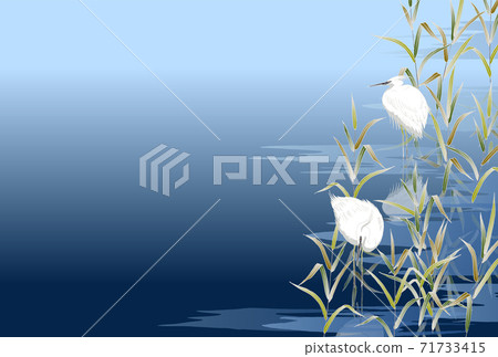 Shirasagi Sagi藍色淺藍色藏青色 71733415