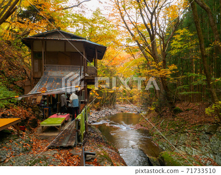 Teahouses along the mountain stream of autumn leaves (Kotaro Chaya, Kotarogabuchi, Nasushiobara, Tochigi Prefecture) Teahouses along the mountain stream of autumn leaves (Kotaro Chaya, Kotarogabuchi, Nasushiobara, Tochigi Prefecture) 71733510