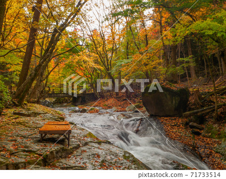 Resting place along the mountain stream of autumn leaves (Kotaro Chaya, Kotarogabuchi, Nasushiobara, Tochigi Prefecture) Resting place along the mountain stream of autumn leaves (Kotaro Chaya, Kotarogabuchi, Nasushiobara, Tochigi Prefecture) 71733514