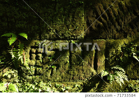 <神奈川縣>在戰爭中被用作軍事要塞的無人島island島 71733584