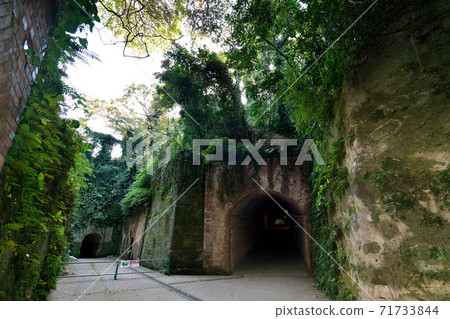 <Kanagawa> Sarushima, an uninhabited island that was used as a military fortress during the war <Kanagawa> Sarushima, an uninhabited island that was used as a military fortress during the war 71733844