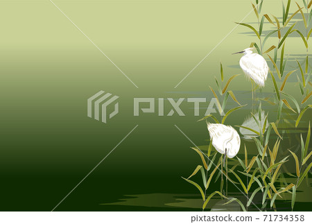 Shirasagi Heron Green Rikyu 71734358