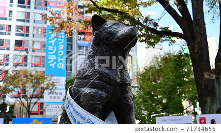Hachiko, the faithful dog in front of Shibuya station Hachiko, the faithful dog in front of Shibuya station 71734655