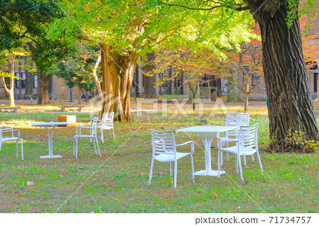 Autumn university campus with tables and chairs 71734757