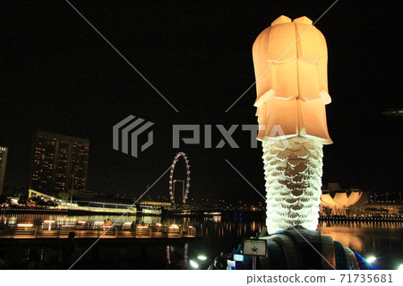 照亮了馬里恩的背影 照亮了馬里恩的背影 71735681