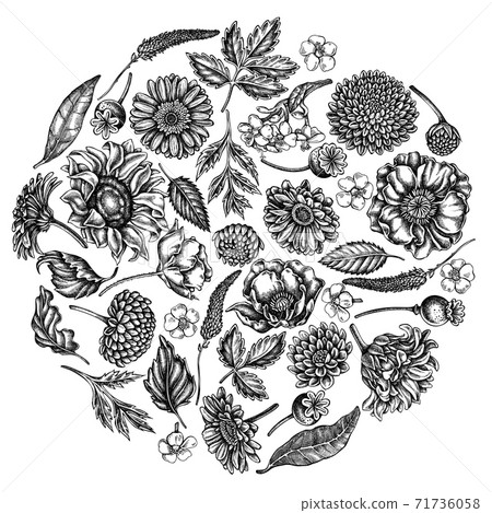 Round floral design with black and white poppy flower, gerbera, sunflower, milkweed, dahlia Round floral design with black and white poppy flower, gerbera, sunflower, milkweed, dahlia 71736058