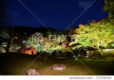 Kodaiji在秋天 Kodaiji在秋天 71736569