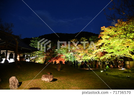 Kodaiji在秋天 Kodaiji在秋天 71736570