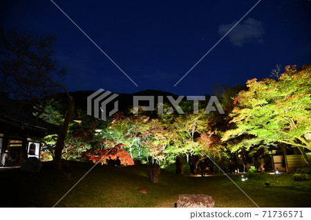 Kodaiji在秋天 Kodaiji在秋天 71736571