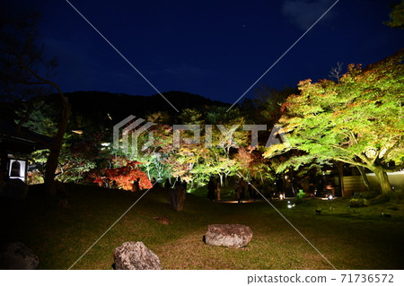 Kodaiji在秋天 Kodaiji在秋天 71736572