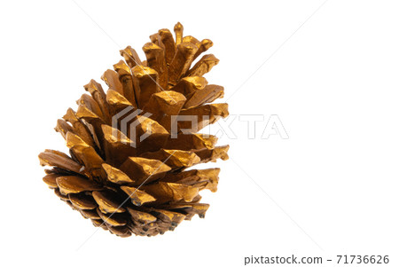 golden cone isolated 71736626