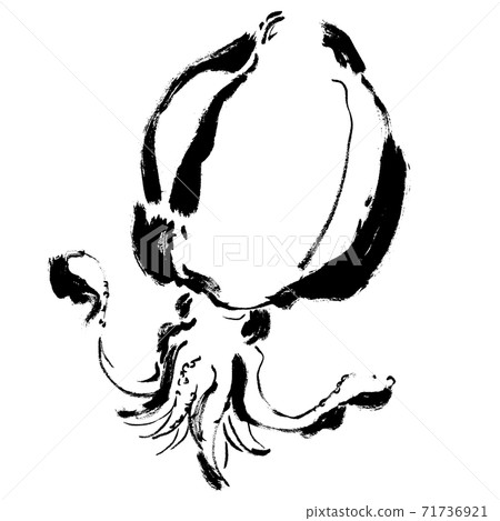 Aori魷魚的手繪插圖與副本空間魷魚圖 Aori魷魚的手繪插圖與副本空間魷魚圖 71736921
