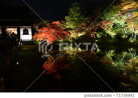 秋天的照明的高台寺 71736991