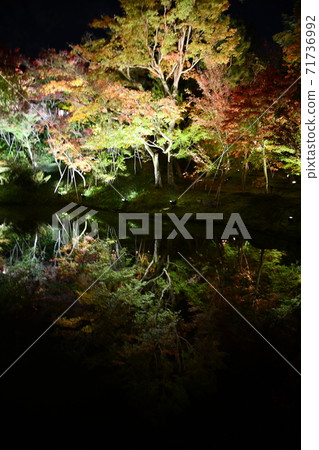 Kodaiji Temple illuminated in autumn Kodaiji Temple illuminated in autumn 71736992