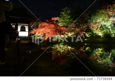 秋天的照明的高台寺 秋天的照明的高台寺 71736994