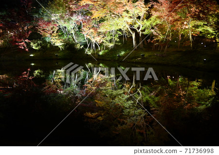 秋天的照明的高台寺 秋天的照明的高台寺 71736998