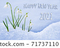 New Year 2021 greeting card, group of snowdrops, flowers in snow, 2021 greeting, 2021 new year 71737110