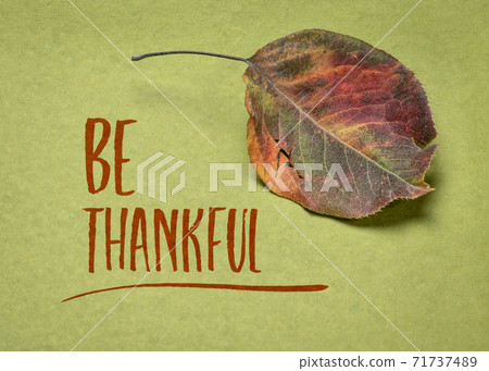 be thankful text with a dried leaf on handmade paper be thankful text with a dried leaf on handmade paper 71737489