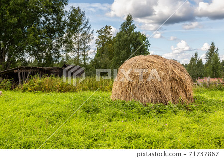 Stack of dry hay at the countryside 71737867