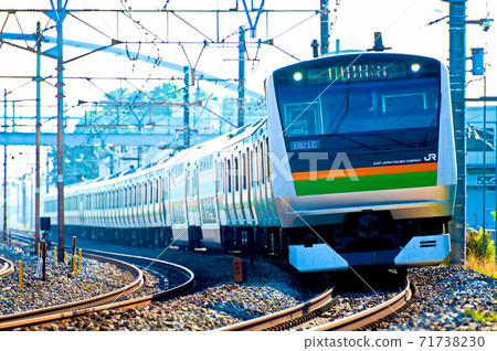 Curved Shonan train Curved Shonan train 71738230