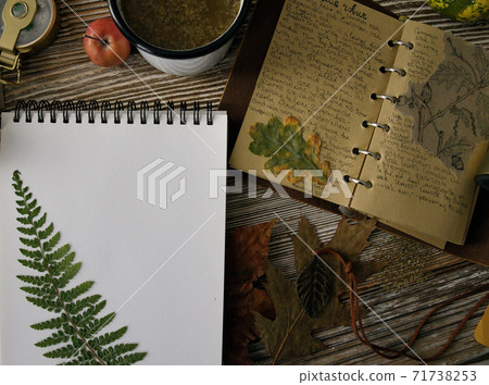notebook with notes on herbs and a mug with tea on a wooden table notebook with notes on herbs and a mug with tea on a wooden table 71738253