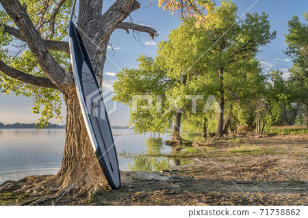 stand up paddleboard on lake shore 71738862