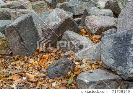 The beauty of natural stone in garden decoration The beauty of natural stone in garden decoration 71739149