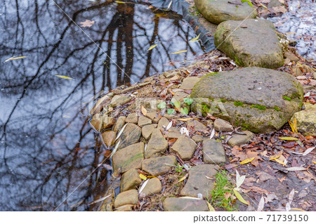The beauty of natural stone in garden decoration 71739150