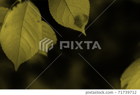 Fashionable classic neutral pantone colors of spring-summer 2021 season. Fashionable classic neutral pantone colors of spring-summer 2021 season. 71739712