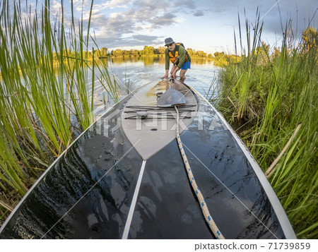 launching stand up paddleboard 71739859