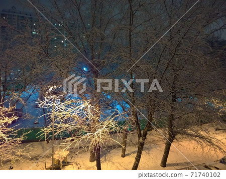 Night view of trees covered with the first snow Night view of trees covered with the first snow 71740102