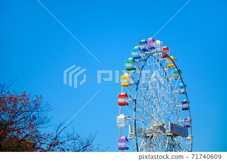 Arakawa Amusement Park's new Ferris wheel and blue sky autumn leaves close-up 71740609