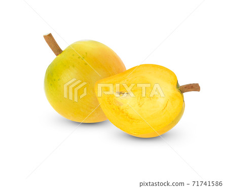 Pouteria Campechiana fruit isolated on white. Pouteria Campechiana fruit isolated on white. 71741586