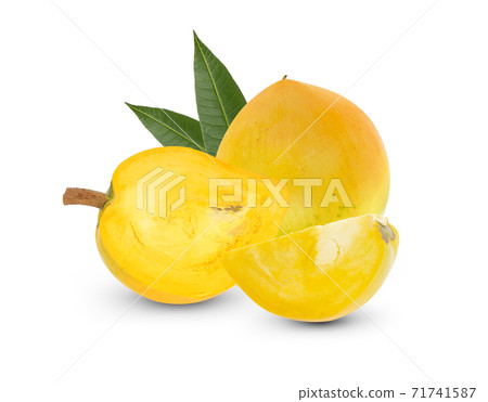 Pouteria Campechiana fruit isolated on white. Pouteria Campechiana fruit isolated on white. 71741587