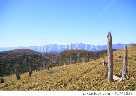 Road to Masakigahara Westward 71741826